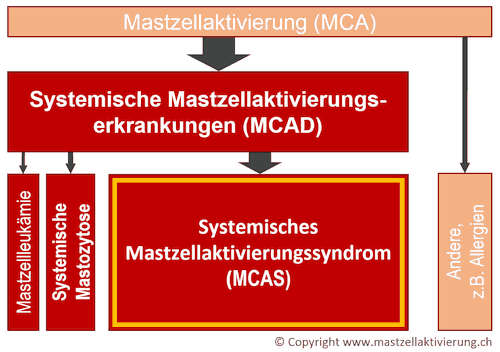 Schema MCAD-Unterteilung